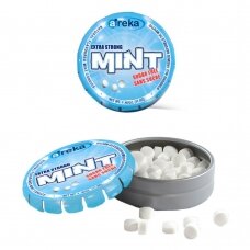 Areka Mint pastilės mėtinės 11,5g